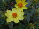 august 065
