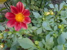 august 067