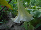 august 068
