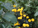 august 071
