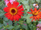 august 074