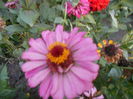august 076