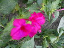 august 080