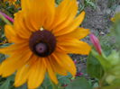 august 083