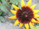 august 084