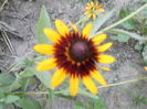 august 085