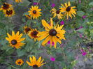august 086