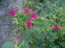 august 091