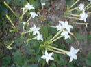august 092