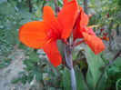 august 094