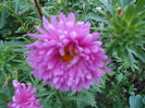 august 096