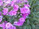 august 110