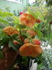 DSCN0048