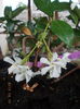 DSCN0049