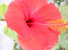 DSCF0136