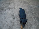 DSCN0051