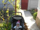DSCN0315