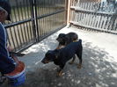 DSCN0352