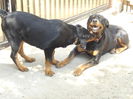 DSCN0357