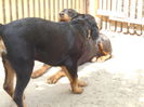 DSCN0358
