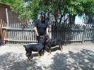 DSCN0368