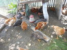 DSCN0376