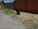 DSCN0378