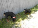 DSCN0384