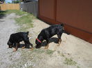 DSCN0387