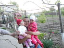 DSCN0220