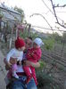DSCN0223