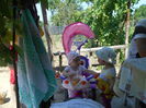 DSCN0551
