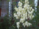 DSCN0639
