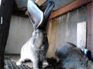 IMG_20140805_095550