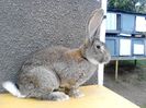 IMG_20140806_110929