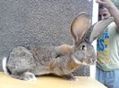IMG_20140806_111140
