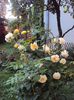 DSC01039