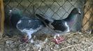 WP_20140804_001