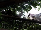 DSCN1226