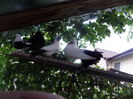 DSCN1228