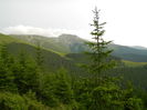 DSCN8751