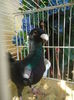 DSC00627
