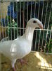 DSC00636