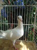 DSC00637