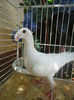 DSC00640