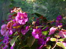DSCN0304