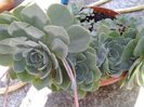 20140731_172734