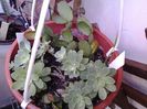 20140727_091318