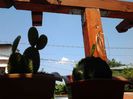 20140809_143633