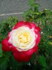 IMG_20140802_122632